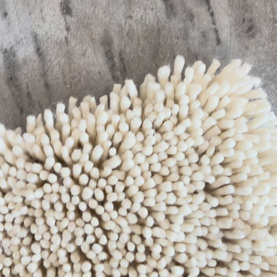 Video full scale and closeup