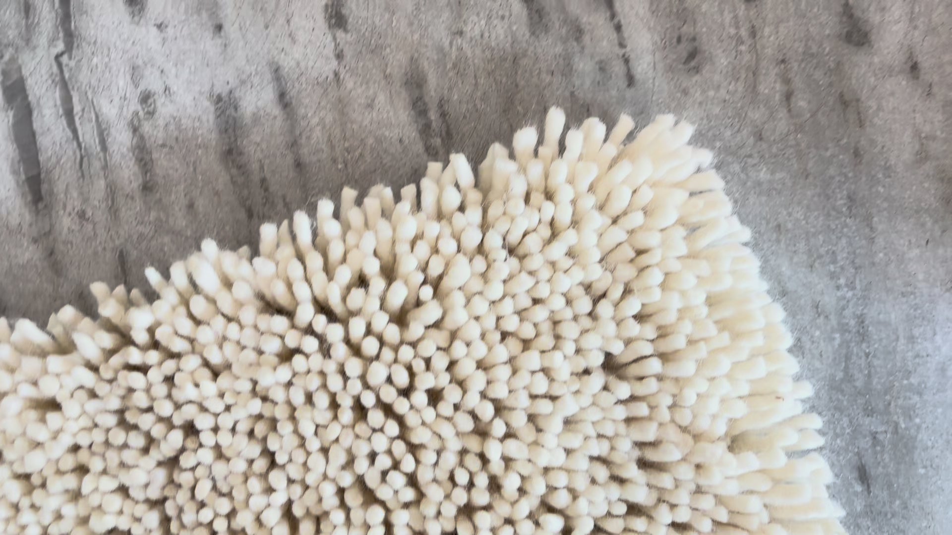 Video full scale and closeup