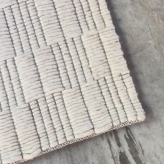 Video full scale and closeup 