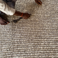 Hand Woven Loop Chunky Wool and Jute Hand Woven Area Rug.